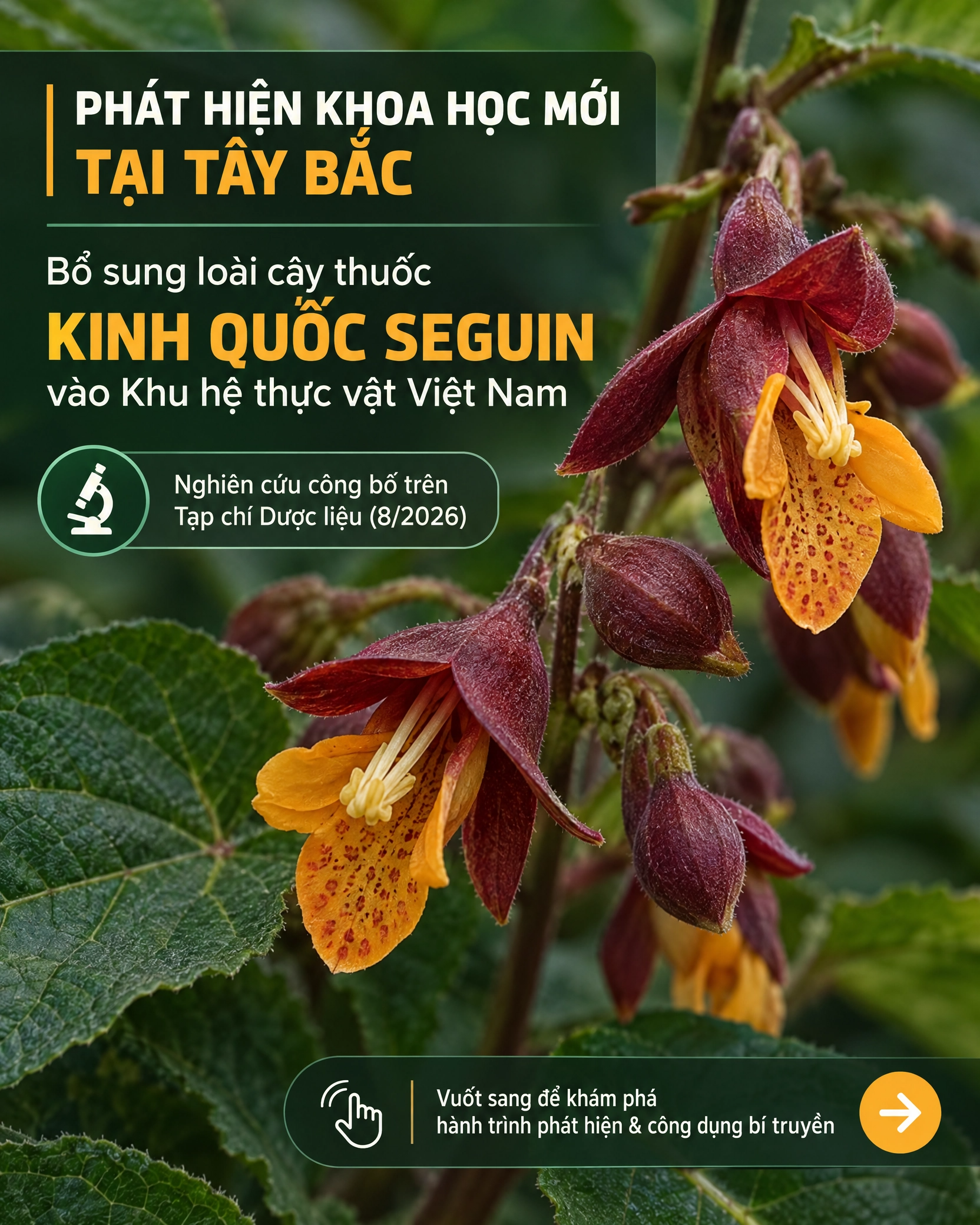 Không có ảnh