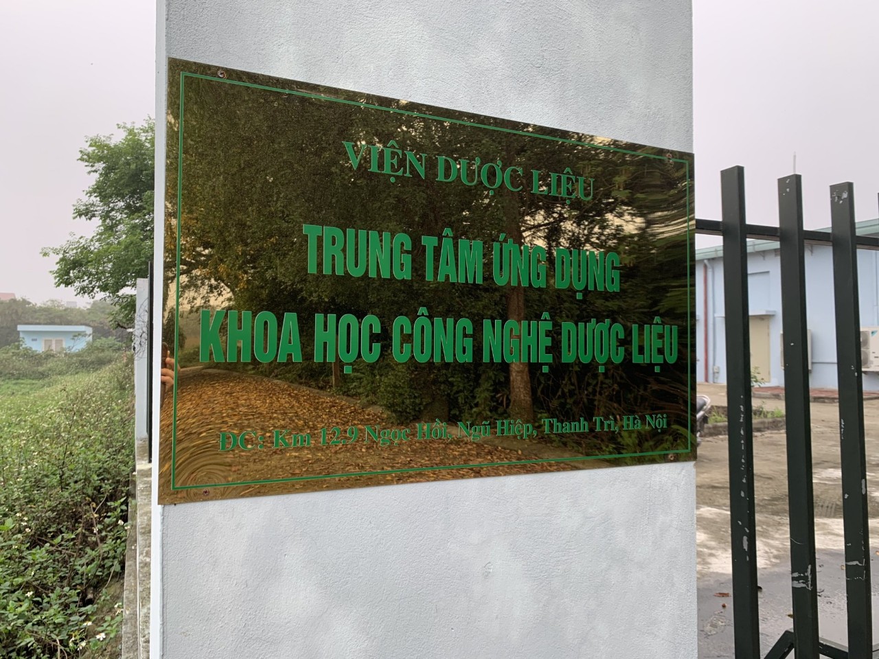 Không có ảnh